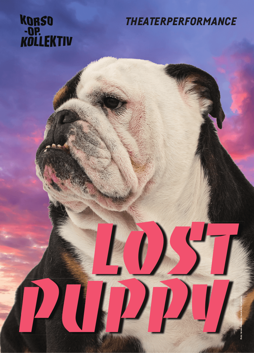 Lost puppy картинка